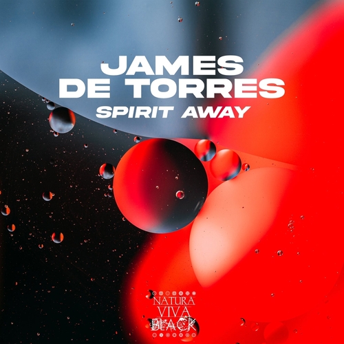 James De Torres - Spirit Away [NATBLACK410]